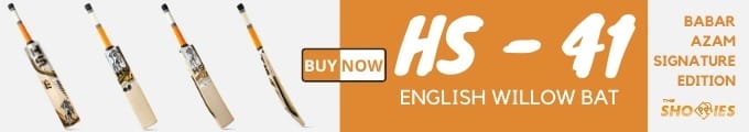English Willow Bat AD